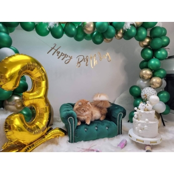 Legowisko kanapa glamour dla psa kota 100 kolorów