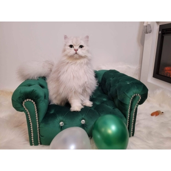 Legowisko kanapa glamour dla psa kota 100 kolorów