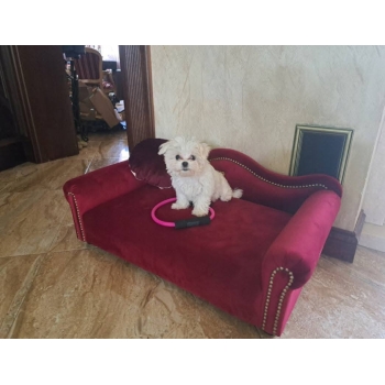 Duże legowisko kanapa dla psa kota XXL 100 kolorów