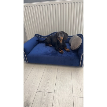 Duże legowisko kanapa dla psa kota XXL 100 kolorów