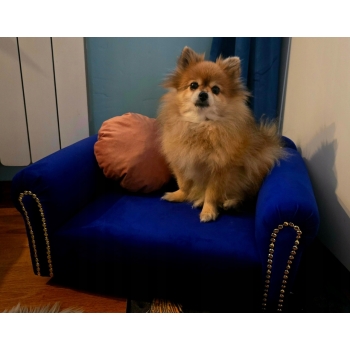 Legowisko kanapa dla psa kota 100 kolorów