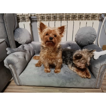 Duże legowisko kanapa Chesterfield glamour dla psa kota XXL 100 kolorów