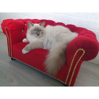 Legowisko kanapa glamour dla psa kota 100 kolorów