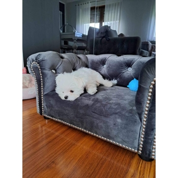 Legowisko kanapa glamour dla psa kota 100 kolorów