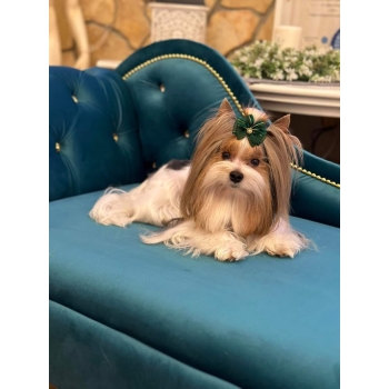 Duże legowisko kanapa dla psa kota XXL 100 kolorów