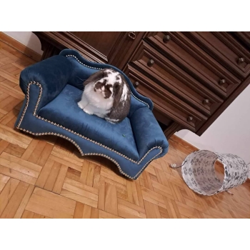 Legowisko kanapa glamour dla psa kota 100 kolorów