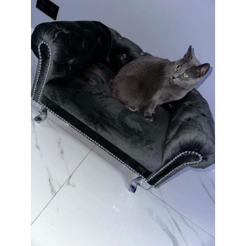 Duże legowisko glamour dla psa kota 100 kolorów