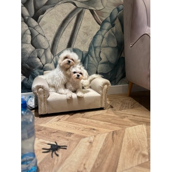 Legowisko kanapa dla psa kota 100 kolorów