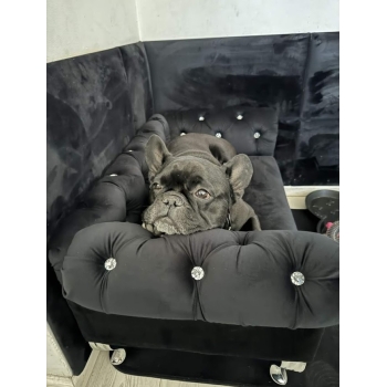 Duże legowisko kanapa Chesterfield glamour dla psa kota XXL 100 kolorów