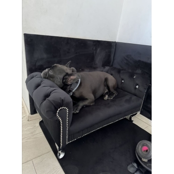 Duże legowisko kanapa Chesterfield glamour dla psa kota XXL 100 kolorów