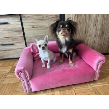 Legowisko kanapa dla psa kota 100 kolorów