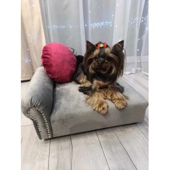 Legowisko kanapa dla psa kota 100 kolorów