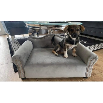 Legowisko kanapa glamour dla psa kota 100 kolorów