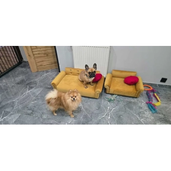 Duże legowisko kanapa dla psa kota XXL 100 kolorów