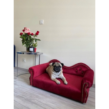 Duże legowisko kanapa dla psa kota XXL 100 kolorów