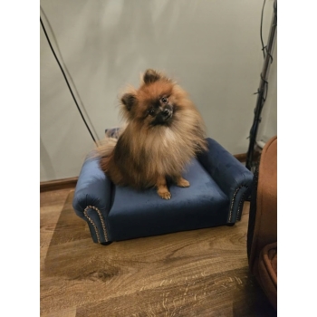 Legowisko kanapa dla psa kota 100 kolorów