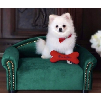 Legowisko kanapa dla psa kota 100 kolorów