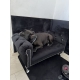Duże legowisko kanapa Chesterfield glamour dla psa kota XXL 100 kolorów